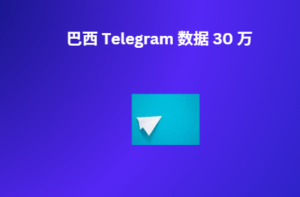 巴西 Telegram 数据 万